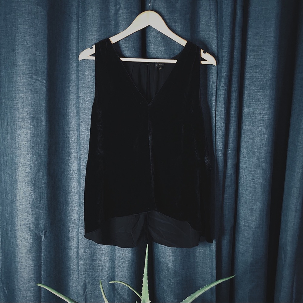 💥24 HR CLEAR-OUT💥 Babaton Velvet Blouse